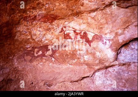 Famous prehistoric rock paintings of Tassili N'Ajjer, Algeria, north Africa 1973 Stock Photo