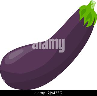 purple aubergine isolated on white background, flat design vector illustration Stock Vector