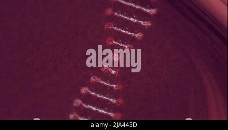 Image of dna strand spinning over dark red light trails Stock Photo