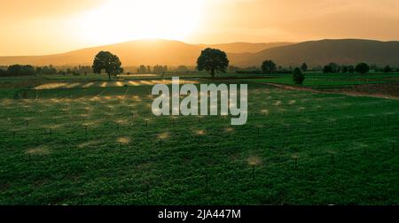 A cloudy sky and a beautifully colored field and sunset Stock Photo