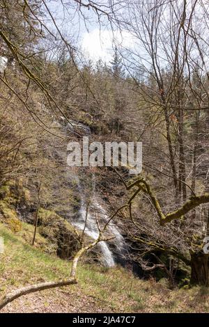 uguna waterfall among the trees Stock Photo