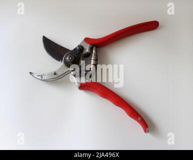 A Pair of Common Pruning Shears Stock Photo
