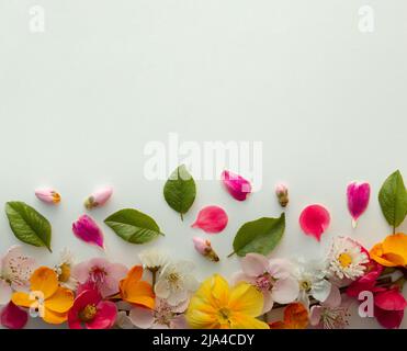 Creative pattern layout made of various spring flowers and leaves with copy space. Flat lay nature background. Stock Photo
