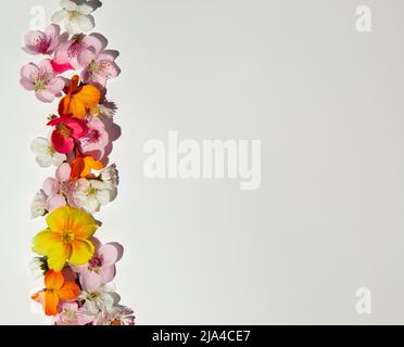 Creative layout made of various spring flowers on bright background. Natural minimal Mother's day concept. Stock Photo