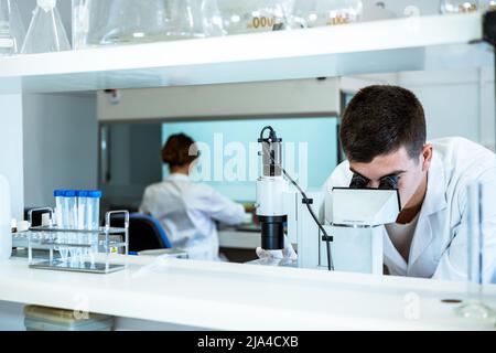 Scientists working in the lab, looking throught the microscope and working in the flow cabinet Stock Photo