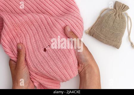Top view of cropped woman hands holding pink wool fabric with hole made by moth and bag with dry herb on white background Stock Photo