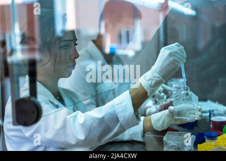 Young researchers working in gloves in the flow cabinet, using pipettes and flasks with cells Stock Photo