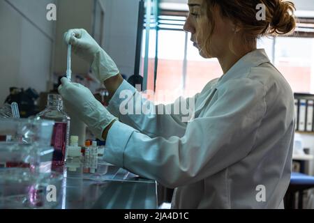 Young woman researcher working in gloves and lab coat in the flow cabinet, using pipettes and vials with cells Stock Photo