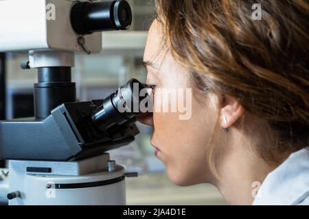 Female scientist student looking throught the microscope in the laboratory. Research concept Stock Photo