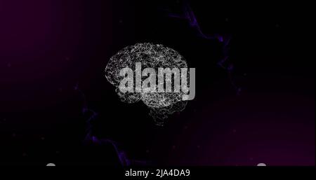 Image of 3d human brain spinning on moving purple network on black background Stock Photo
