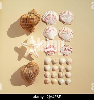 Neatly arranged sea shells on sandy colored background. Minimal flat lay vacation composition. Stock Photo