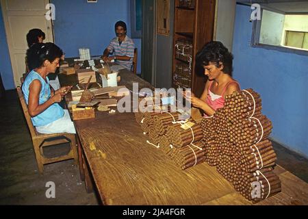 Kubanische Frauen und Maenner drehen echte kubanische Havanna-Zigarren in einer Zigarrenfabrik in Pinar del Rio, Kuba, Karibik | Cuban man and women r Stock Photo