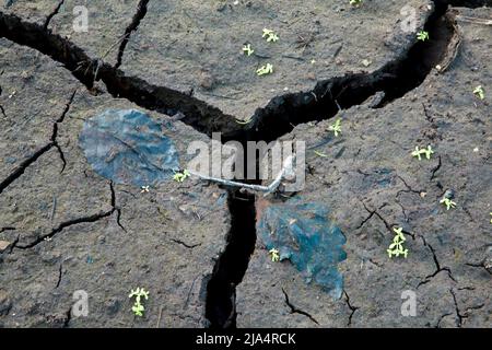 dry mud planes at the base of Ladybower Reservoir after a dry summer, Peak District UK Stock Photo