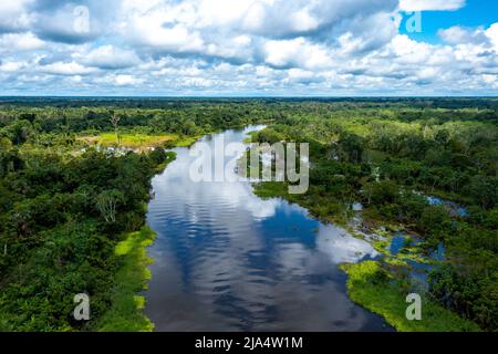 Aerial View of the rainforest near Iquitos, Peru Stock Photo - Alamy