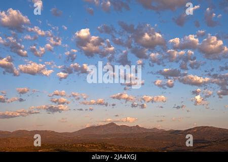 Altocumulus floccus clouds over semi-desert landscape at sunset in the Namaqua National Park, Namaqualand, Northern Cape, South Africa Stock Photo