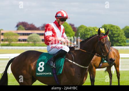 Jockey Tom Marquand on La Trinidad at York Races. Stock Photo