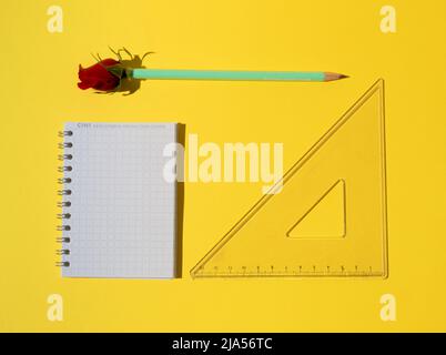 A school notebook and a pencil with a red rose on yellow background. Minimal bussines concept. Stock Photo