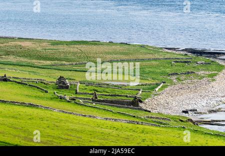 Derelict farm on the Isle of Rousay, Orkney Islands, Scotland. Stock Photo