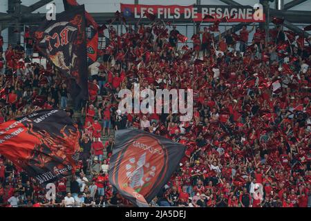 Marseille, France. 27th May 2022; Stade Velodrome, Marseille, France: European Rugby Challenge Cup Final, Lyon versus Toulon: RC Toulon suporters Credit: Action Plus Sports Images/Alamy Live News Stock Photo