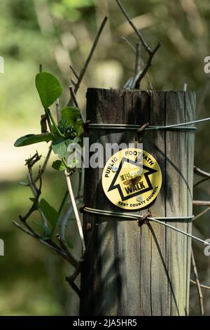 A sign for the Big Blean walk at Blean Woods near Canterbury in Kent ...