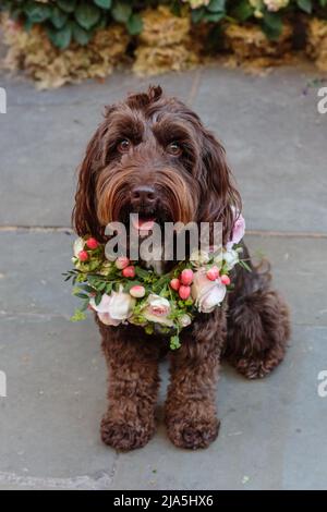 Floral Crown at Chelsea Flower Show 23 Stock Photo - Alamy