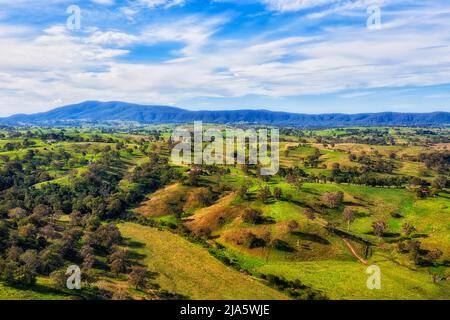 Green lush meadows of agriculture dairy farms in Bega valley of Australia - aerial scenic landscape. Stock Photo