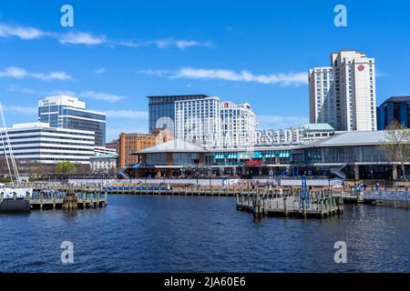 Waterside District in Downtown Norfolk seen from the water in the Elizabeth River Stock Photo