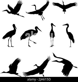 Silhouette or shadow black ink icons of crane birds or herons flying and standing set. Group of storks outline template or creative background vector Stock Vector
