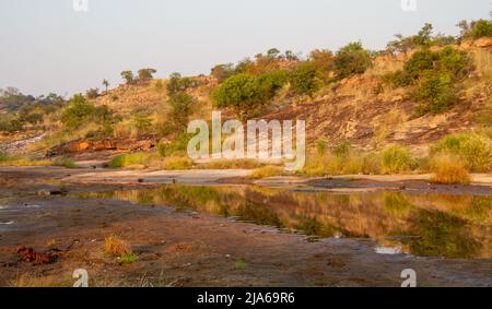 Riverbed landscape in the Kruger National Park in South Africa Stock Photo