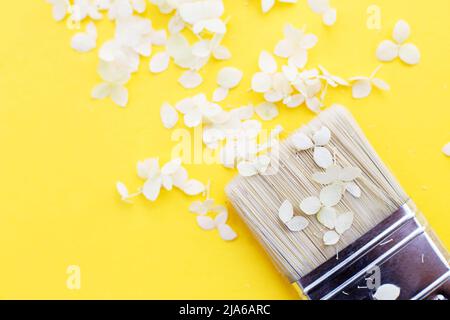 white hydrangea flowers and paint brush on a yellow background with copy space. Flat lay. Stock Photo