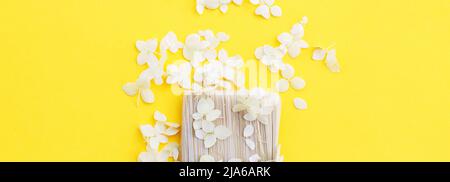 white hydrangea flowers and paint brush on a yellow background with copy space. Flat lay. banner Stock Photo