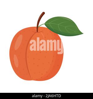 Whole orange peach with green leaf isolated on white background. Flat vector illustration. Stock Vector