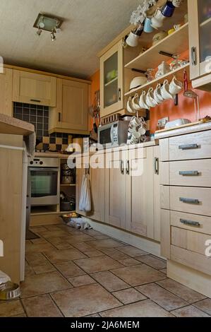 Small but stylish fitted pinewood kitchen with modern oven range & microwave Stock Photo