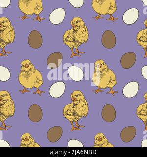 Vector seamless pattern with eggs and chicks on purple background. Hand drawn design. Stock Vector
