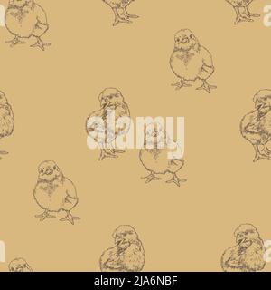 Vector seamless pattern with hand drawn outlines of chicks. Design with chicks. Stock Vector