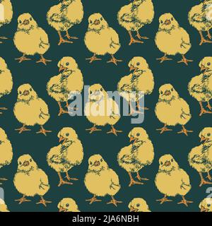 Vector seamless pattern with yellow chicks on dark background. Hand drawn design. Stock Vector
