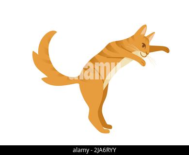 Ginger cat cartoon preparing to jump animal cartoon design vector illustration isolated on white background Stock Vector