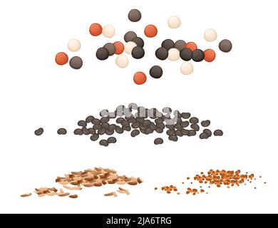 Set of seasoning with black pepper nutmeg poppy seeds powder package vector illustration on white background Stock Vector
