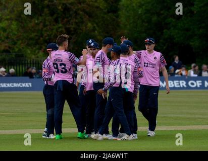 The Middlesex Team celebrate a wicet in a T20 Match at Radlett cricket club on the 26th of May 2022 Stock Photo