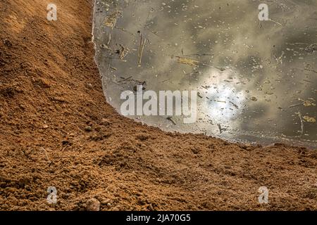 oil polution on the lake water closeup Stock Photo