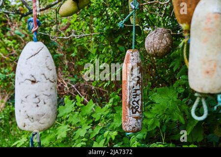 Foam bullets hanging from tree branches Stock Photo