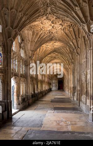 Interior of Gloucester Cathedral’s cloisters, dating back to the 14th century, Gloucestershire, England, United Kingdom. Stock Photo