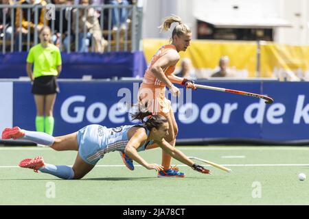 2022-05-28 12:39:21 NIJMEGEN - Laurien Leurink (Ned) of the Netherlands against Valentina Costa (ARG) of Argentina during the Pro League match on the site of hockey club Union. ANP WILLEM VERNES netherlands out - belgium out Stock Photo