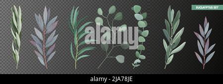 Icons set with realistic eucalyptus branches and leaves isolated on transparent background vector illustration Stock Vector