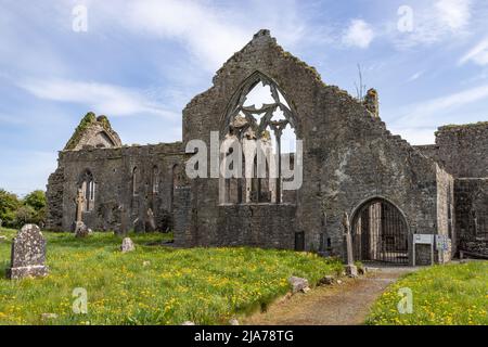Athenry Abbey, County Galway, Ireland Stock Photo