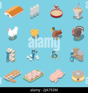 Poultry farm isometric icons set of equipment for feeding hen duck turkey trays with chicken legs and eggs and canned food vector illustration Stock Vector