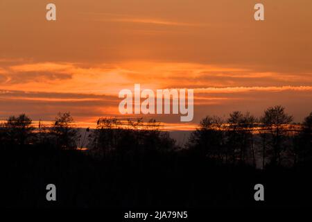 Tree branches on dramatic sunset sky - abstract photo Stock Photo