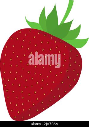 red ripe strawberry isolated on white background, flat design vector illustration Stock Vector
