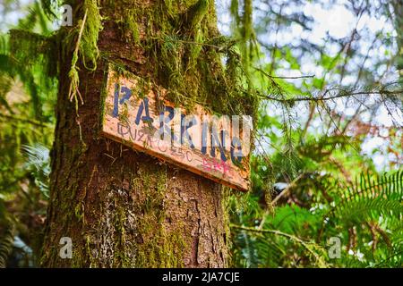 Detail of old parking sign on tree trunk with moss Stock Photo