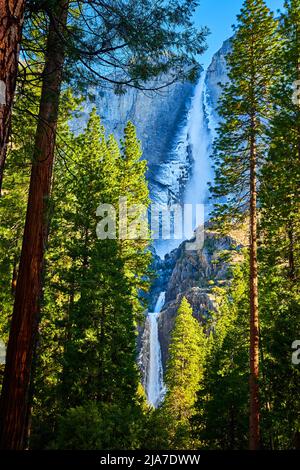 Frost-covered Yosemite Falls in early April surrounded by vibrant pine trees Stock Photo